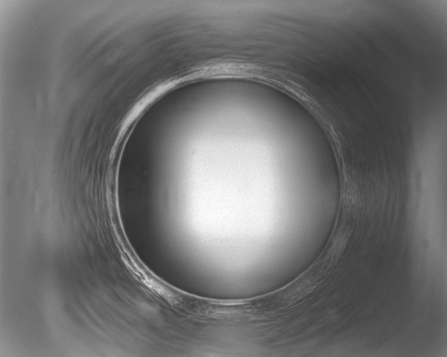 X0000086251486200703291353