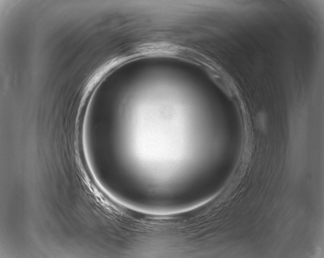 X0000086251488200703291353