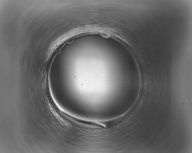 X0000086251507200703291353