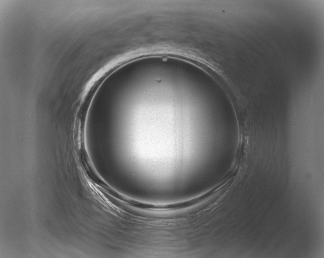 X0000086251510200703291353
