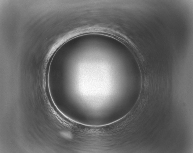 X0000086251512200703291353