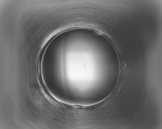 X0000086251515200703291353