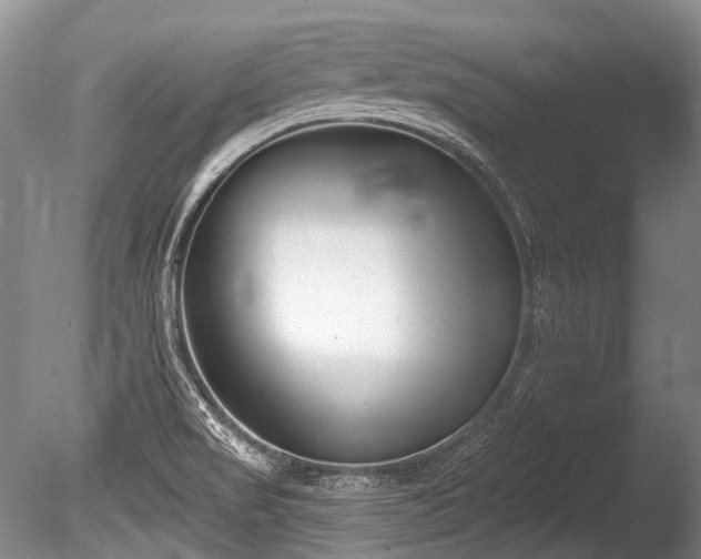X0000086251517200703291353