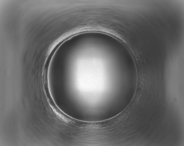X0000086251519200703291353