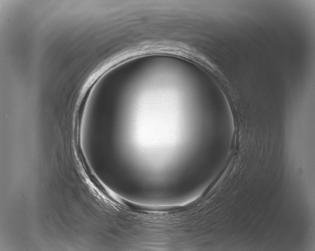 X0000086251520200703291353