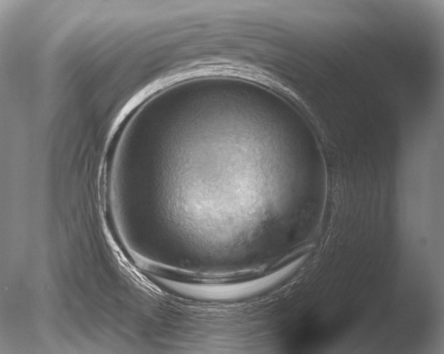 X0000086251522200703291353