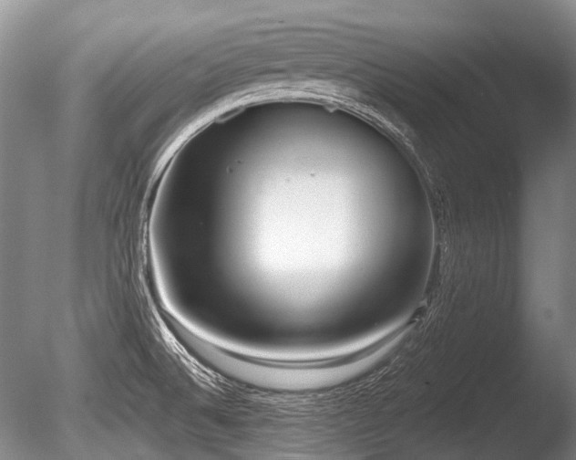 X0000086251524200703291353