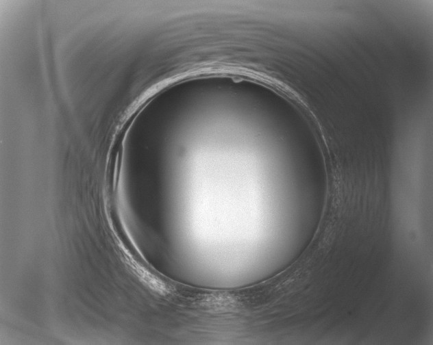 X0000086251525200703291353