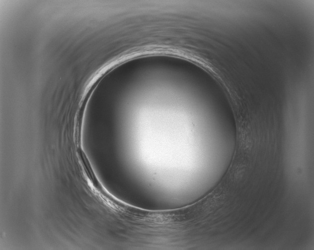 X0000086251527200703291353