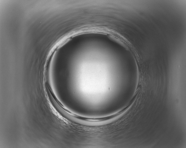 X0000086251528200703291353