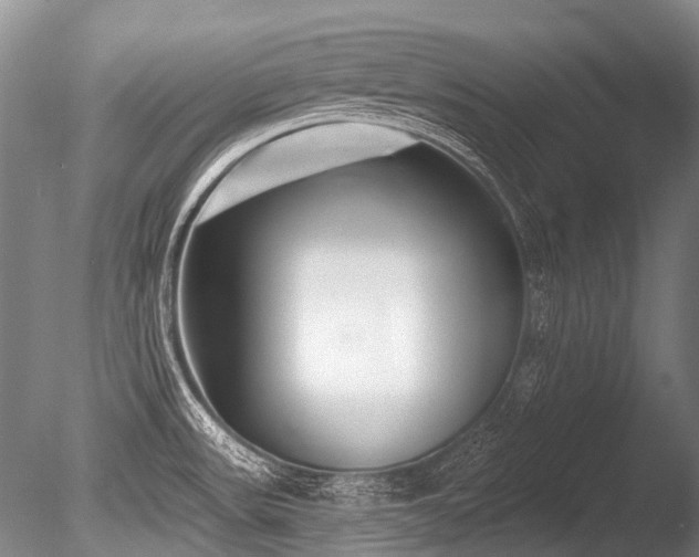 X0000086251531200703291353