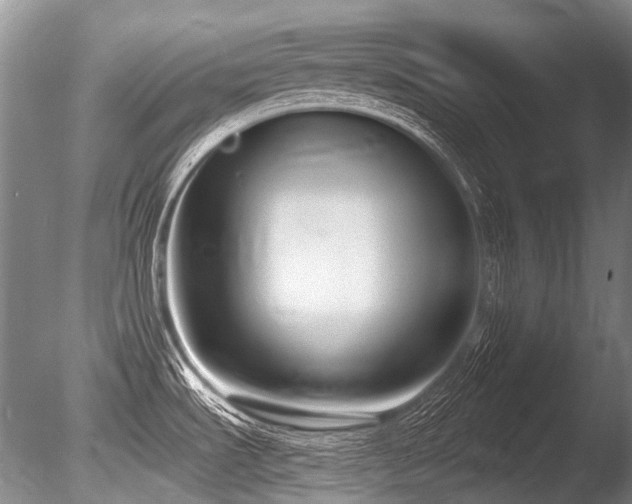 X0000086251535200703291353