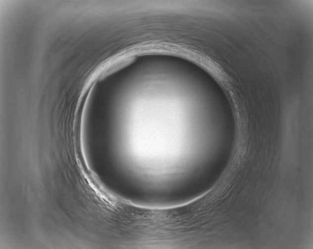 X0000086251536200703291353