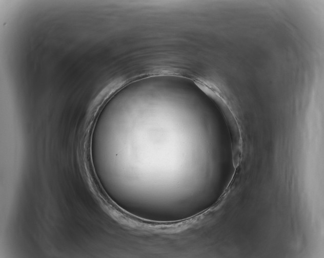 X0000086250001200704051251