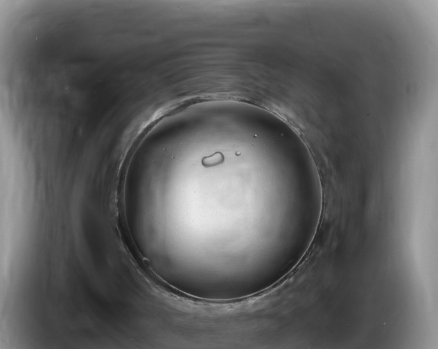 X0000086250002200704051251