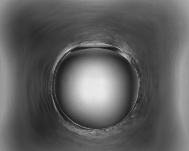 X0000086250003200704051251