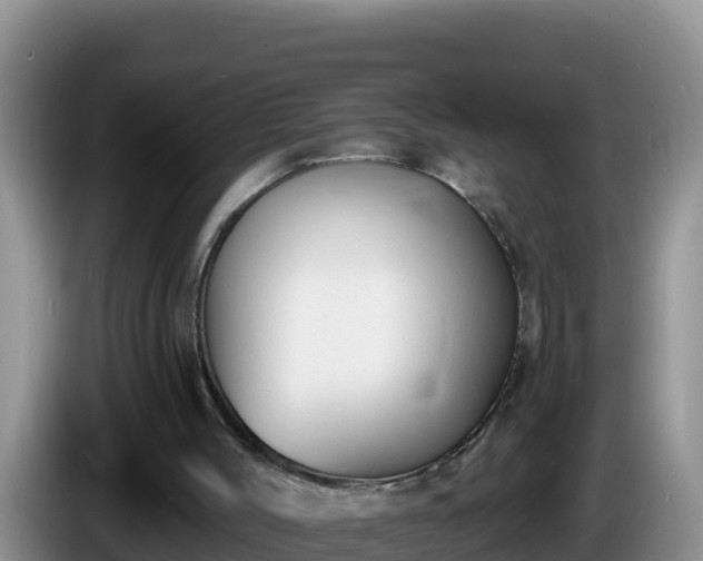 X0000086250004200704051251