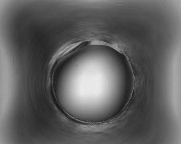 X0000086250005200704051251