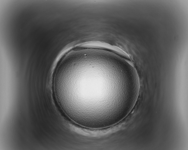 X0000086250006200704051251