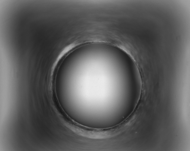 X0000086250008200704051251