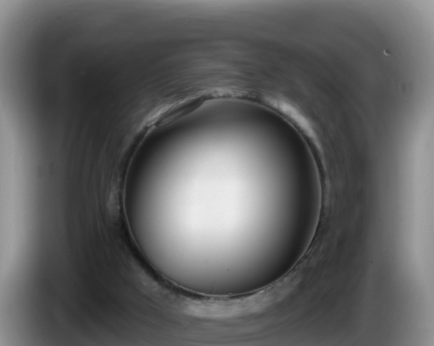 X0000086250009200704051251