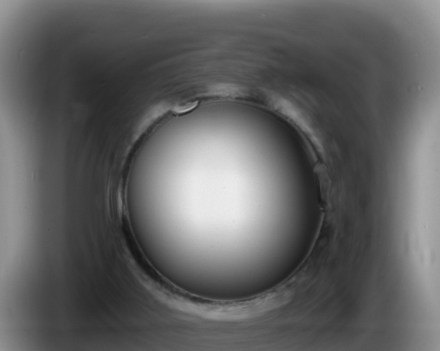 X0000086250011200704051251