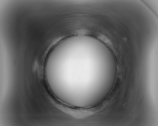 X0000086250012200704051251