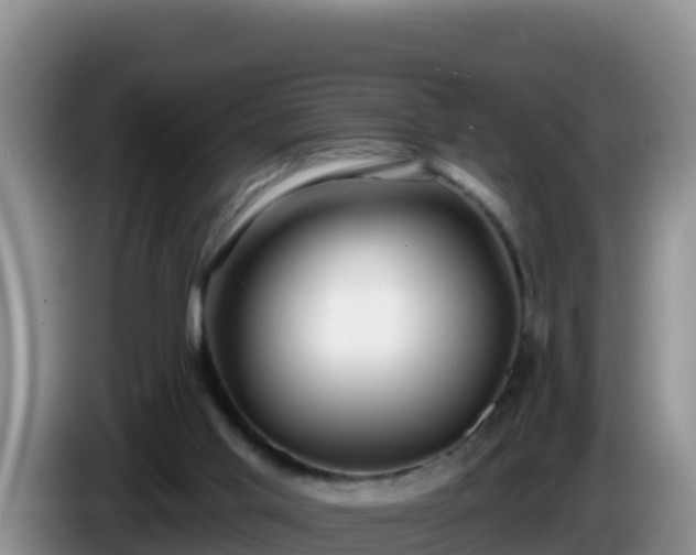 X0000086250013200704051251