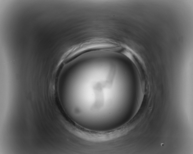 X0000086250015200704051251