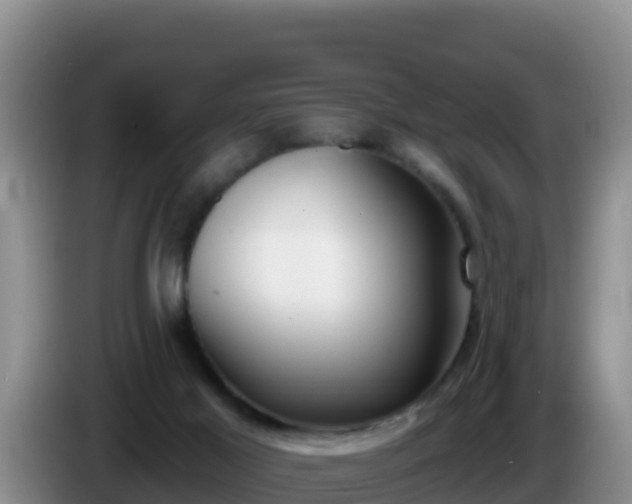X0000086250021200704051250