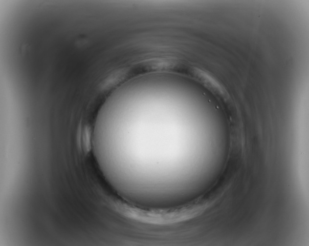 X0000086250022200704051250