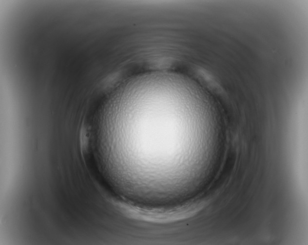 X0000086250026200704051250