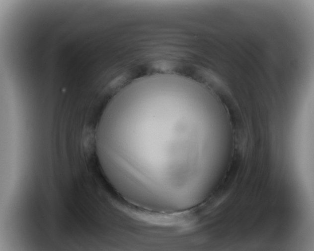 X0000086250036200704051250