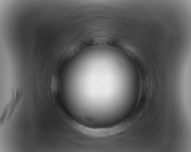 X0000086250038200704051250