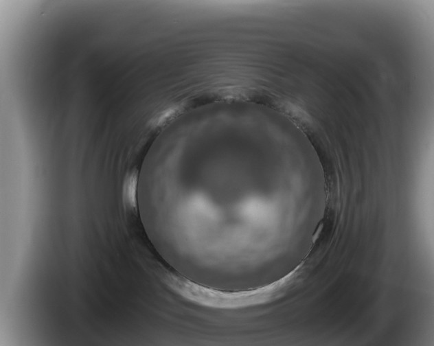 X0000086250047200704051250