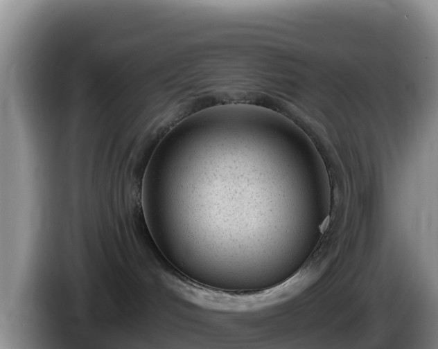 X0000086250048200704051250