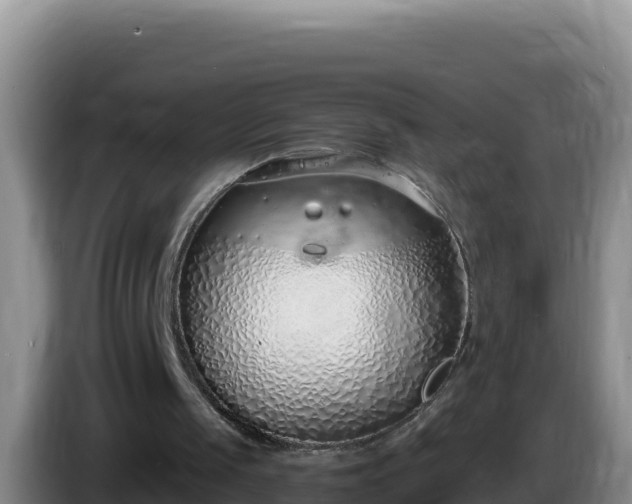 X0000086250049200704051249