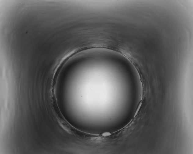 X0000086250050200704051249