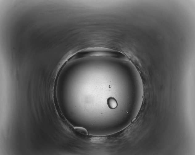 X0000086250051200704051249