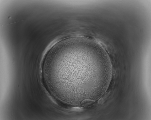 X0000086250053200704051249