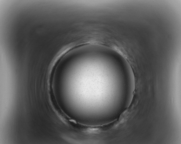 X0000086250055200704051250