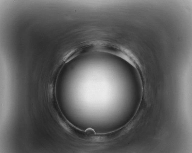 X0000086250057200704051250