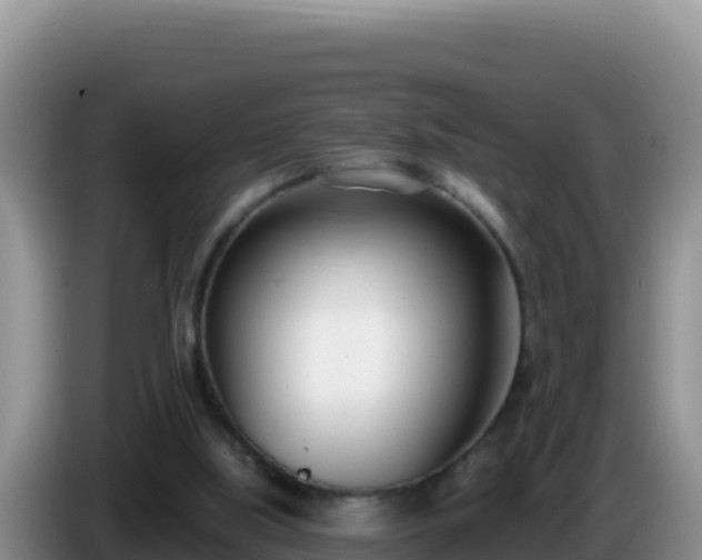 X0000086250059200704051250