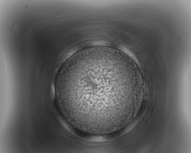 X0000086250061200704051250