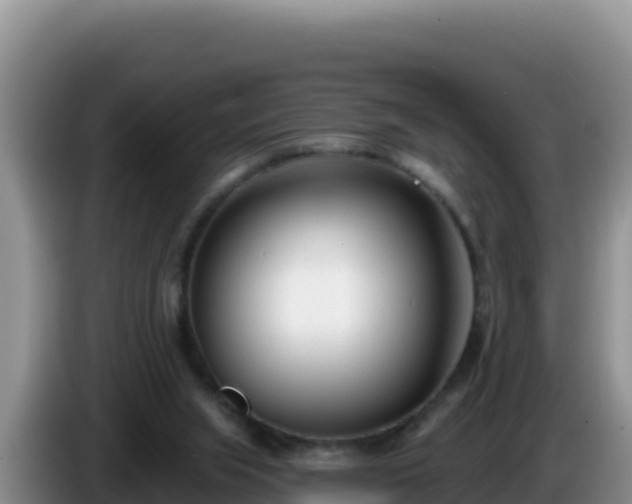 X0000086250063200704051250