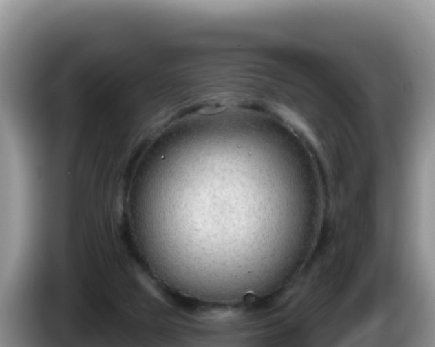 X0000086250065200704051250