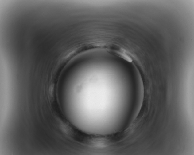 X0000086250066200704051250