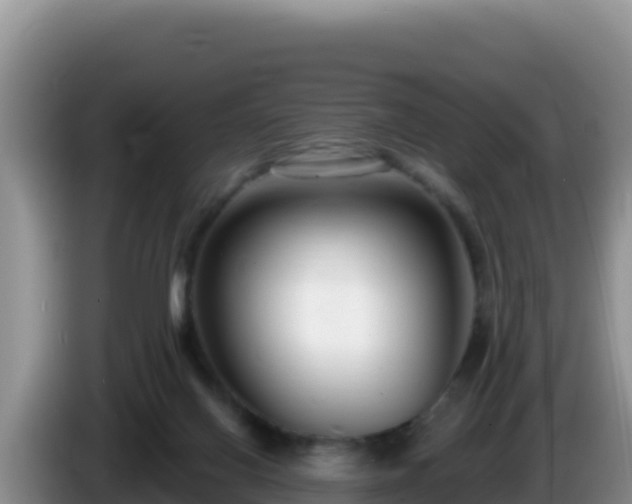 X0000086250070200704051250