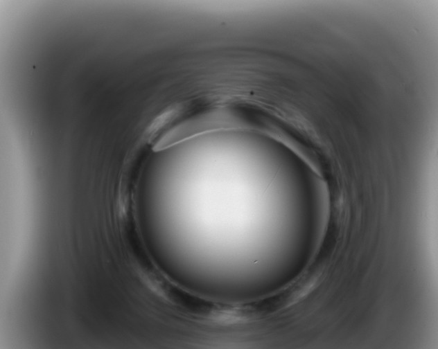 X0000086250072200704051250