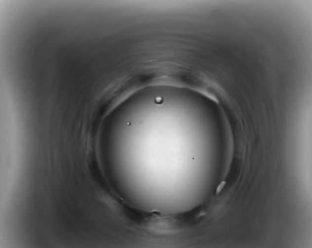 X0000086250077200704051250